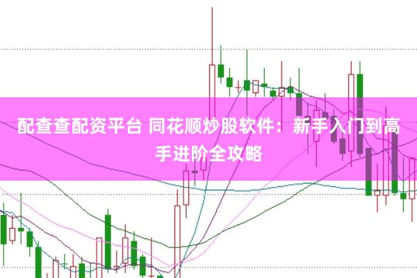 配查查配资平台 同花顺炒股软件：新手入门到高手进阶全攻略