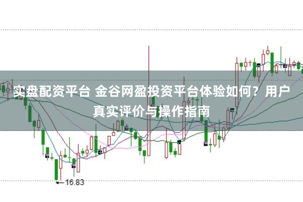 实盘配资平台 金谷网盈投资平台体验如何？用户真实评价与操作指南