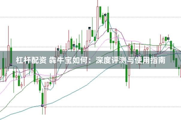杠杆配资 犇牛宝如何：深度评测与使用指南