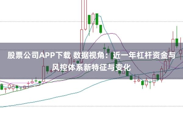 股票公司APP下载 数据视角:近一年杠杆资金与风控体系新特征与变化
