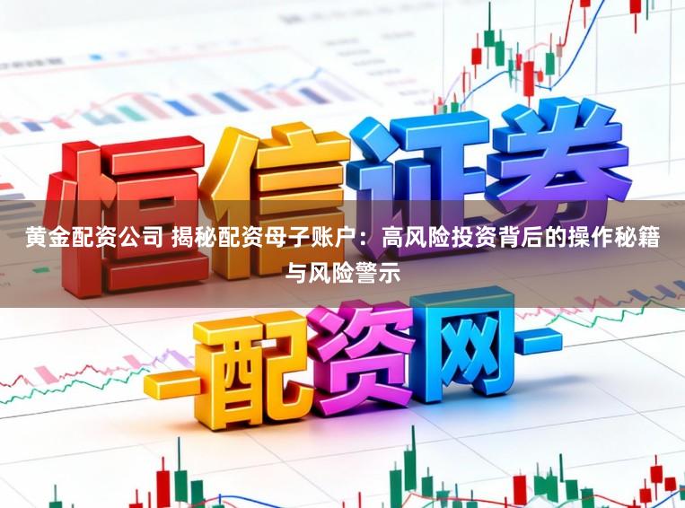 黄金配资公司 揭秘配资母子账户：高风险投资背后的操作秘籍与风险警示